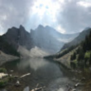 Meet your Posher, Grace